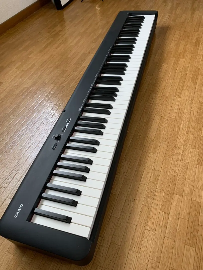 2026年最新】CASIO カシオ CDP-S100の人気アイテム - メルカリ