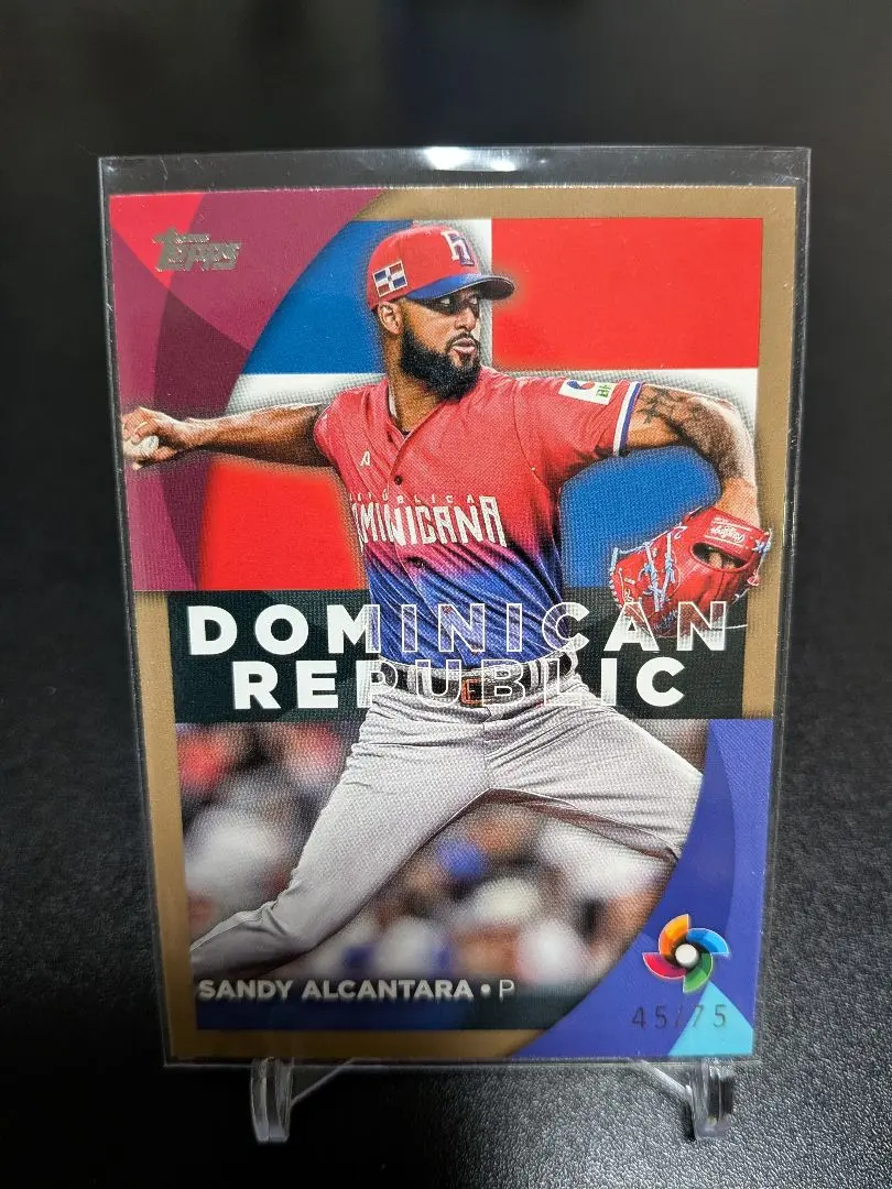 2026年最新】SANDy alcantaraの人気アイテム - メルカリ