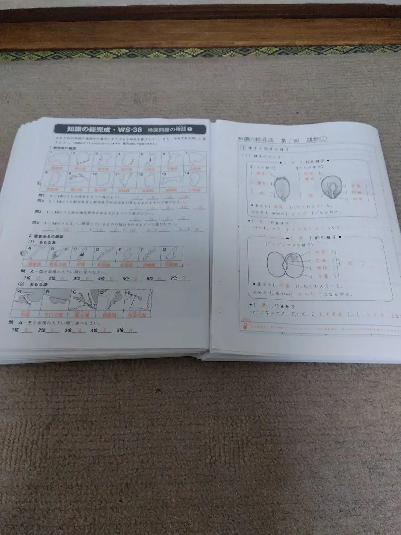2026年最新】サピックス 社会 知識の総完成の人気アイテム - メルカリ