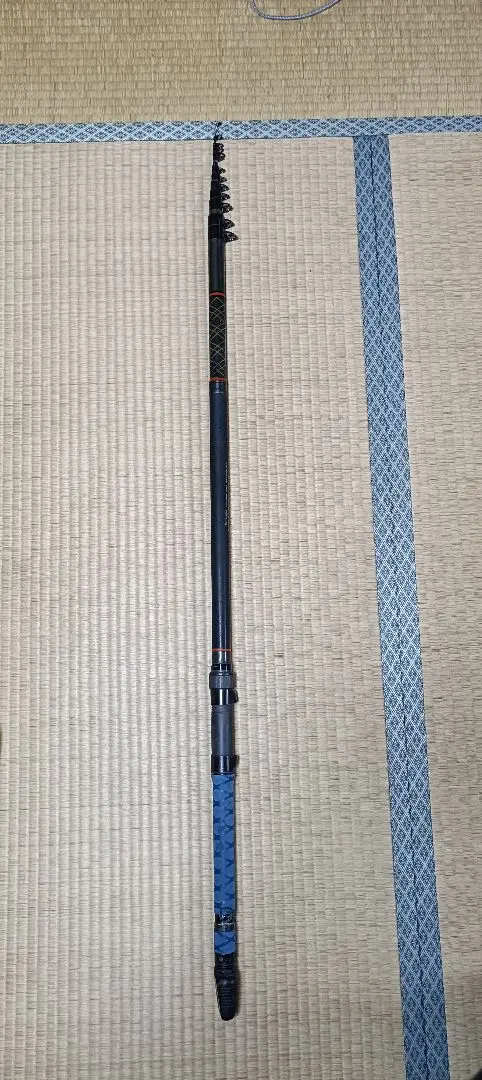 2026年最新】石鯛 小笠原の人気アイテム - メルカリ