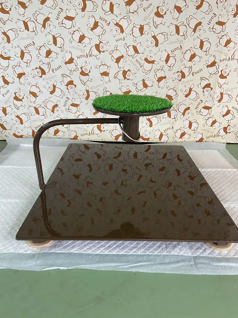 2026年最新】猛禽類パーチの人気アイテム - メルカリ