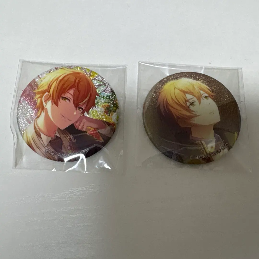 2026年最新】東雲彰人 缶バッジ 22cの人気アイテム - メルカリ