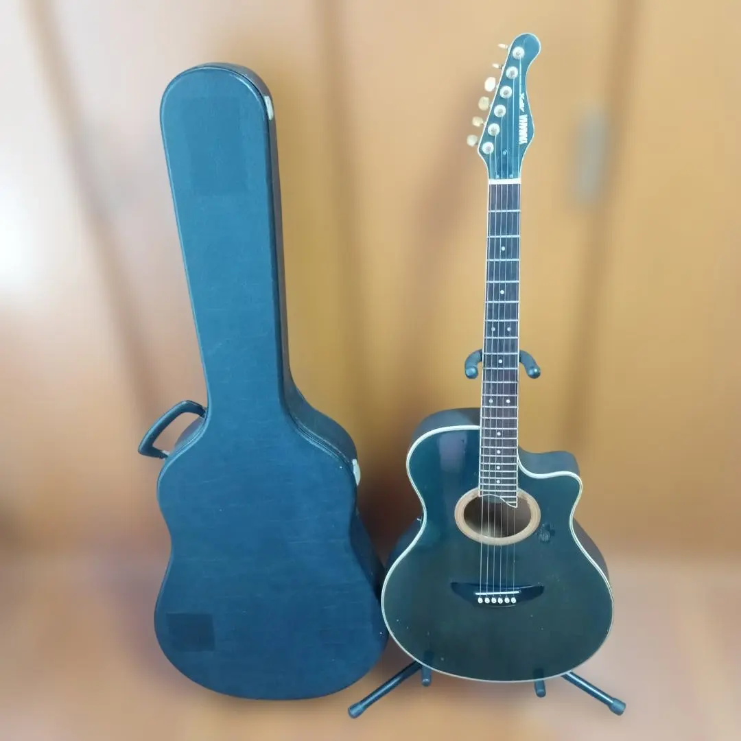 2026年最新】apx ギター 長渕剛の人気アイテム - メルカリ