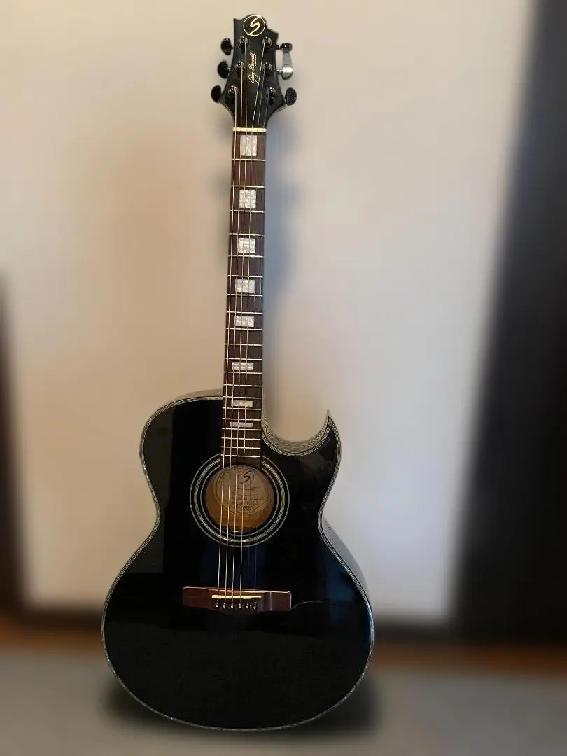 2026年最新】greg bennett ギターの人気アイテム - メルカリ