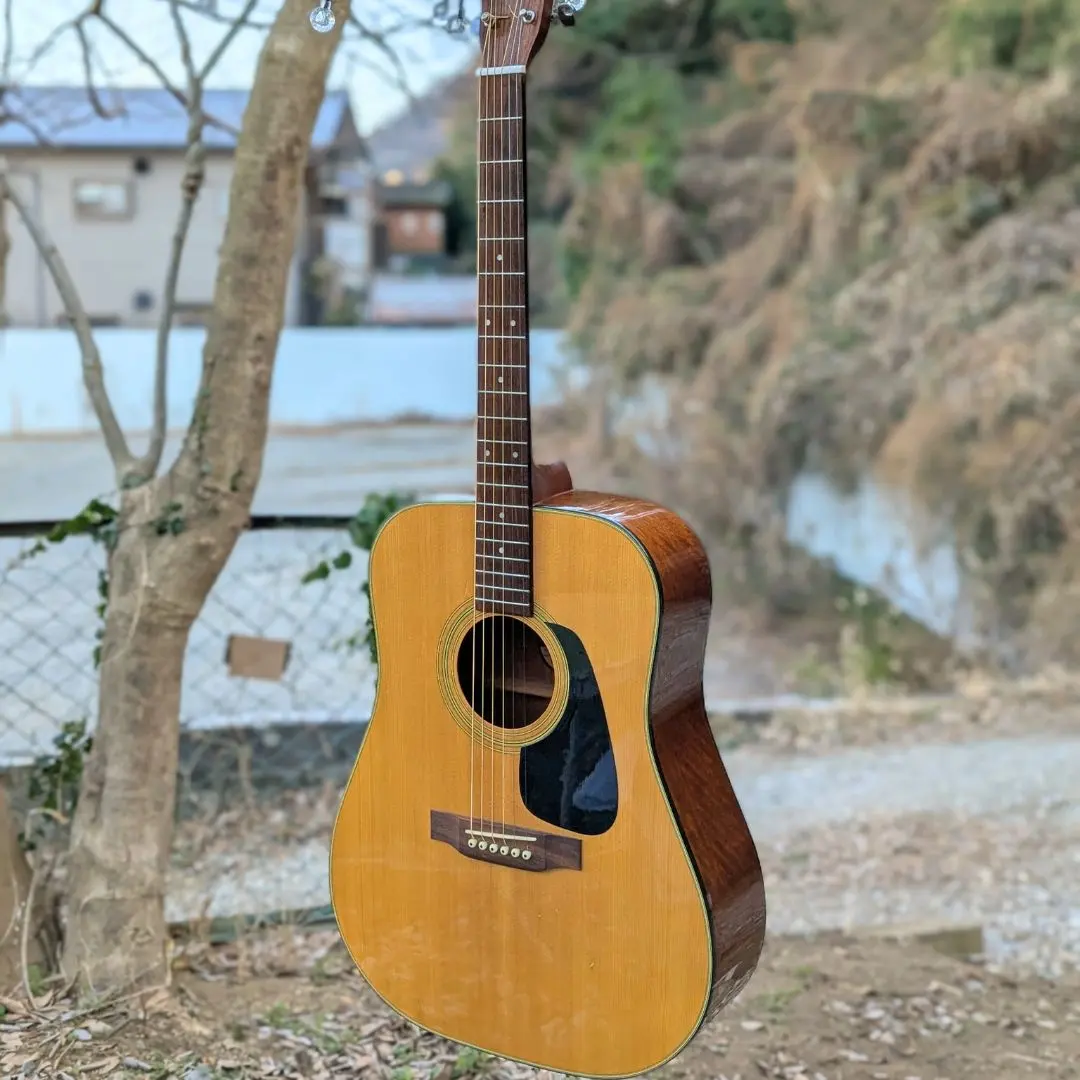 2026年最新】morris MD-502の人気アイテム - メルカリ