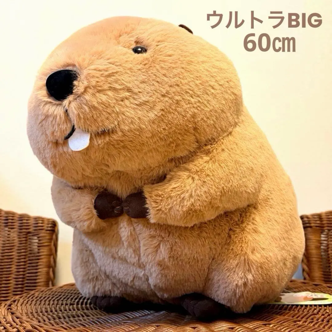 2026年最新】むっちりビーバーたっちウルトラBIGの人気アイテム - メルカリ
