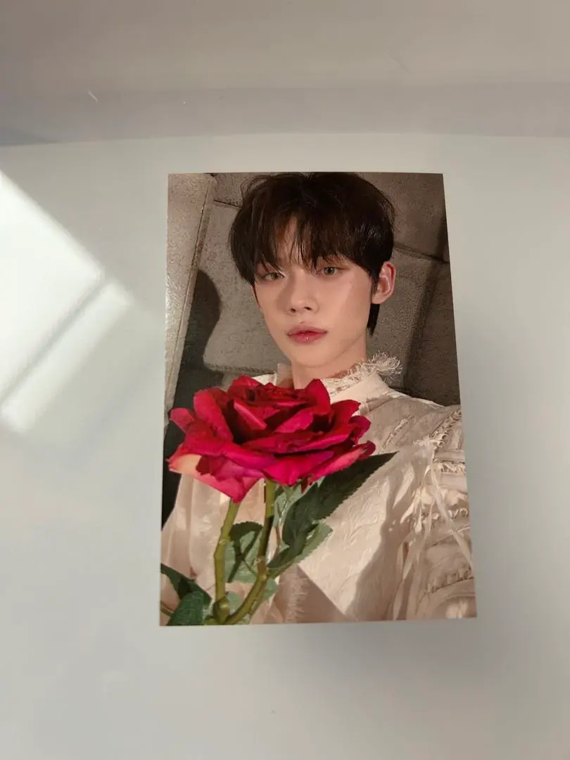 2026年最新】サノクトレカ txtの人気アイテム - メルカリ