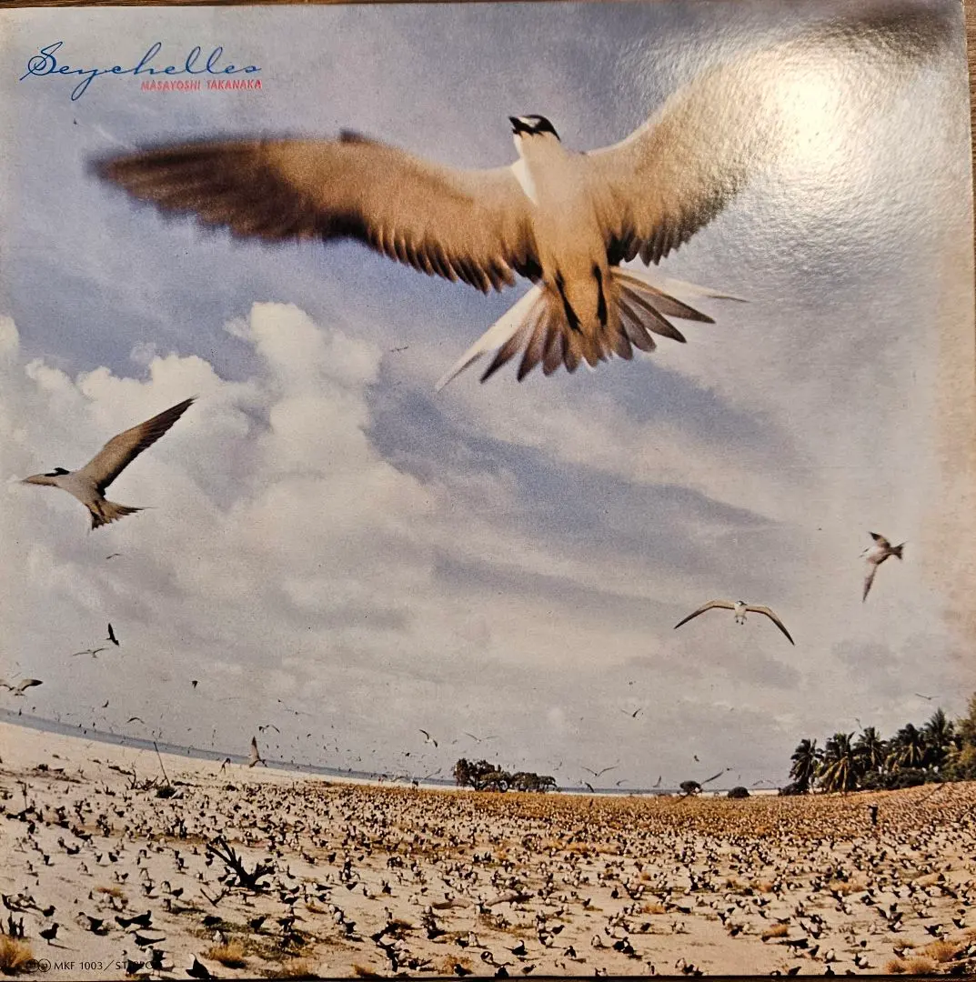 2026年最新】LP 高中正義 SEYCHELLESの人気アイテム - メルカリ