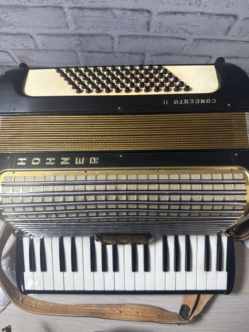 2026年最新】hohner アコーディオンの人気アイテム - メルカリ