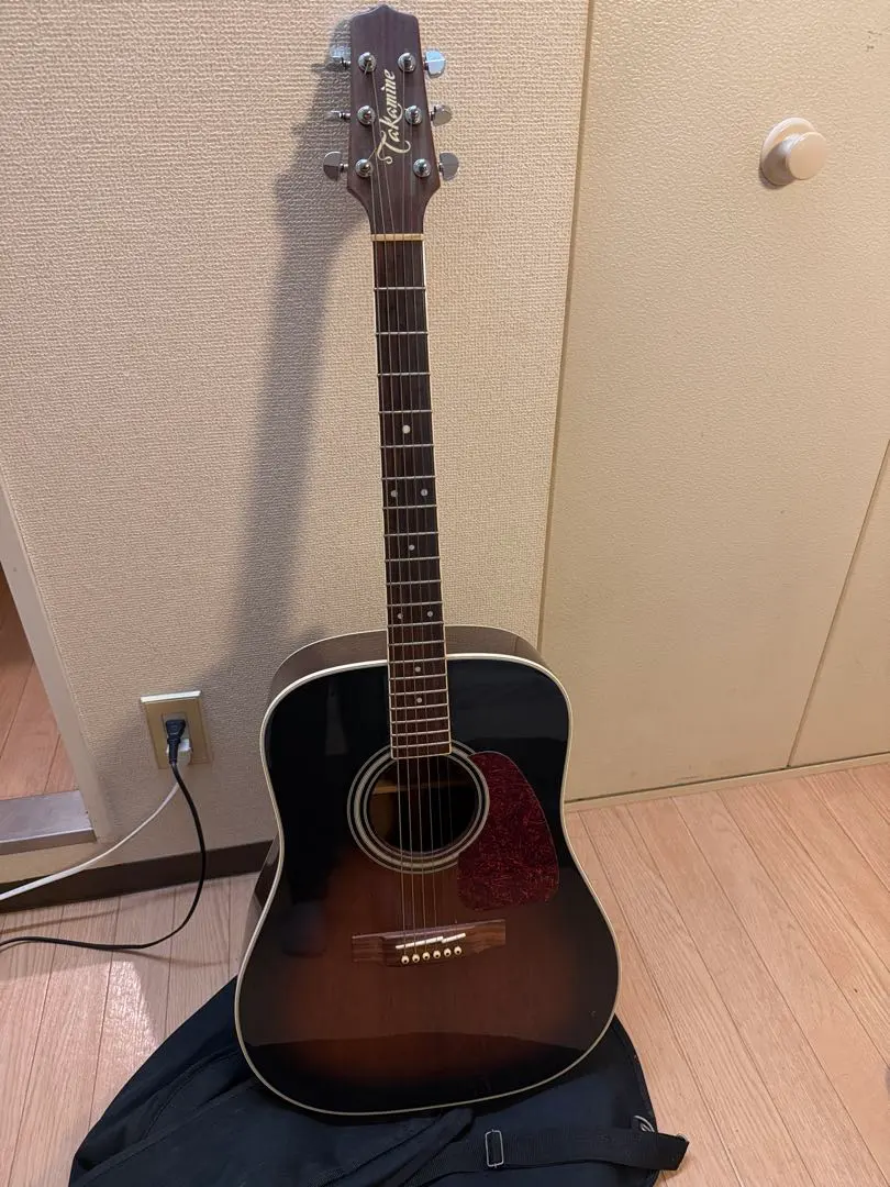 2026年最新】takamine ts-600の人気アイテム - メルカリ