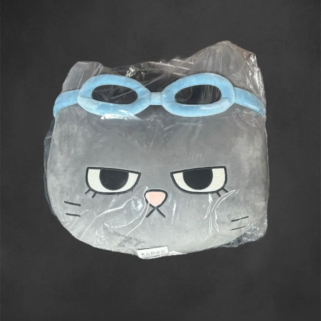 2026年最新】boynextdoor プネクド クッションの人気アイテム - メルカリ