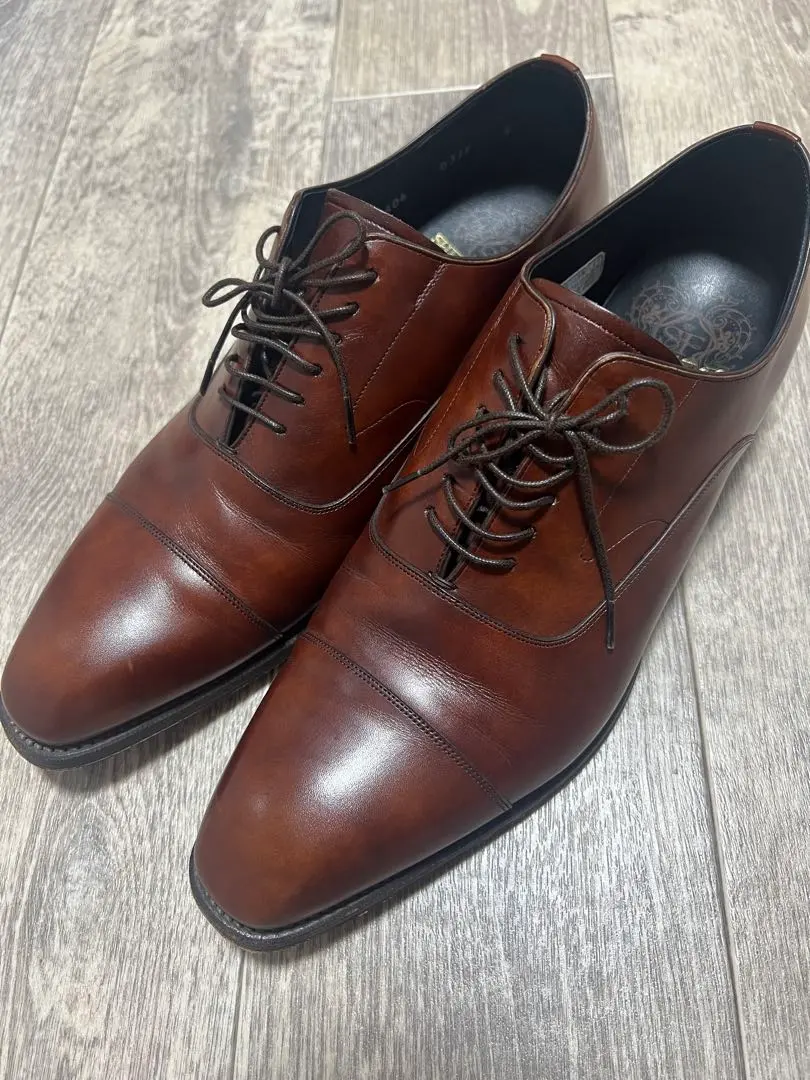 2026年最新】シェットランドフォックス ブライトンの人気アイテム