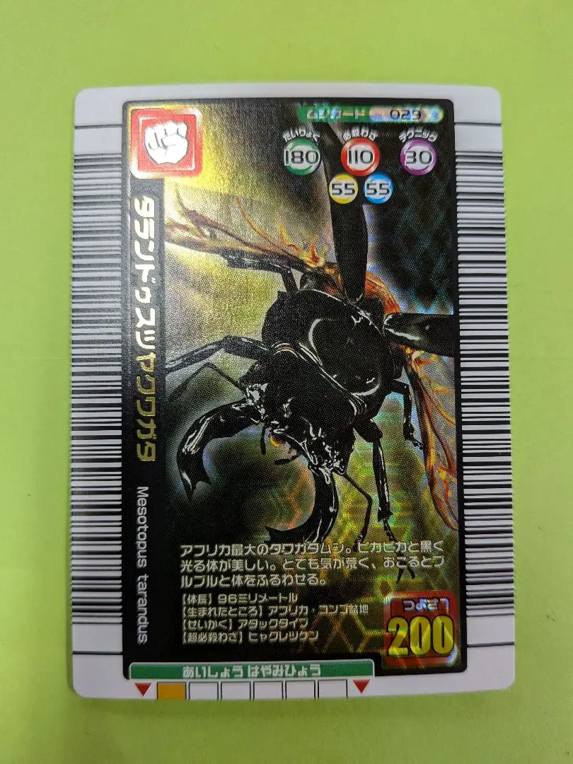 2026年最新】タランドゥスツヤクワガタ 2005の人気アイテム - メルカリ