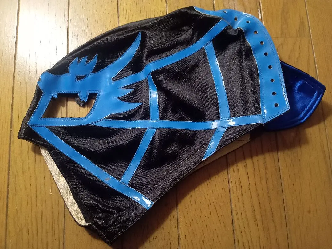 2026年最新】獅龍 プロレスの人気アイテム - メルカリ