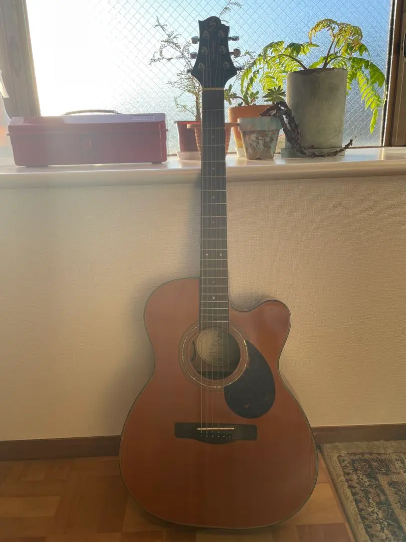 2026年最新】エレアコ greg bennettの人気アイテム - メルカリ