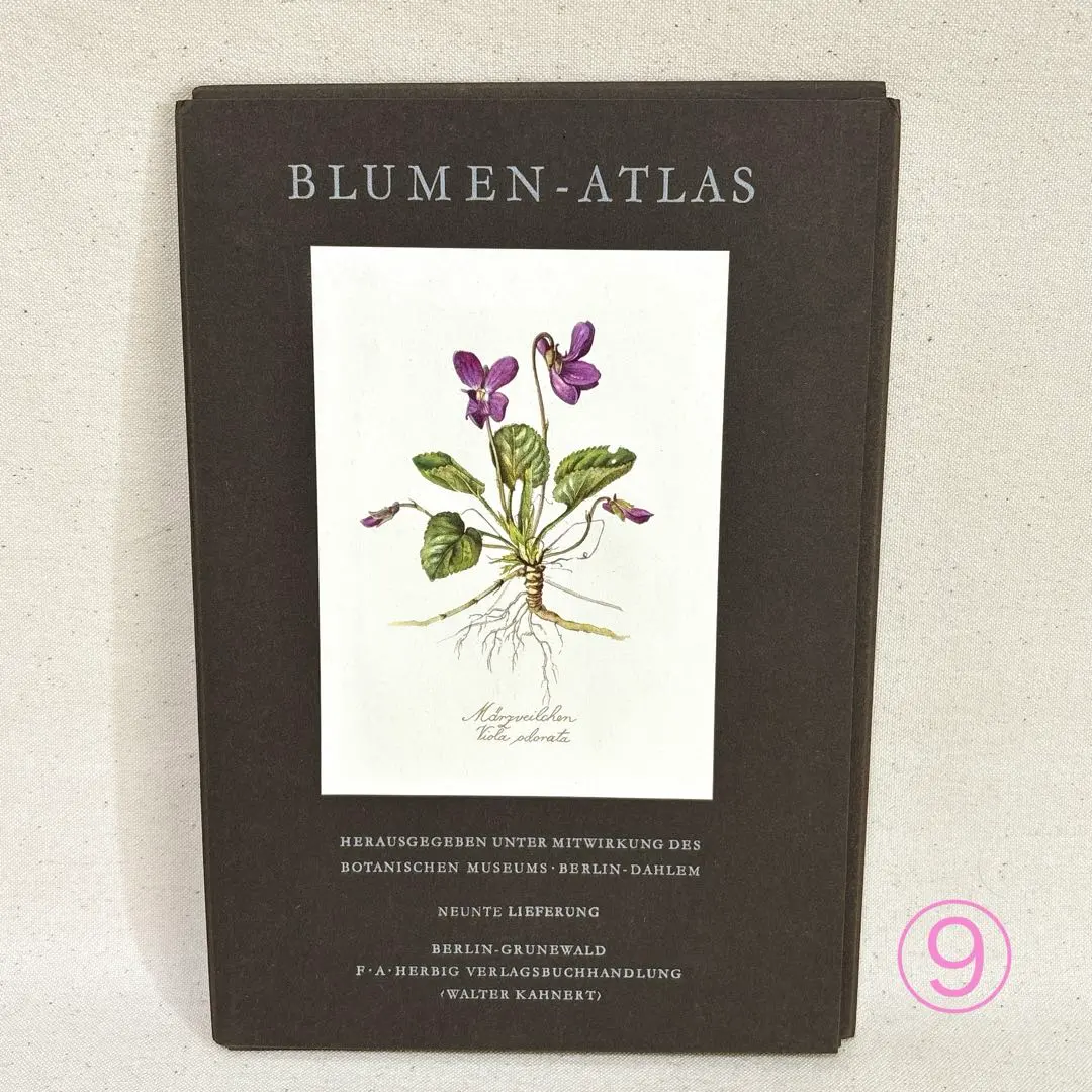 2026年最新】elsa felskoの人気アイテム - メルカリ