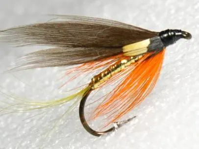 2026年最新】ジャングルコックの人気アイテム - メルカリ