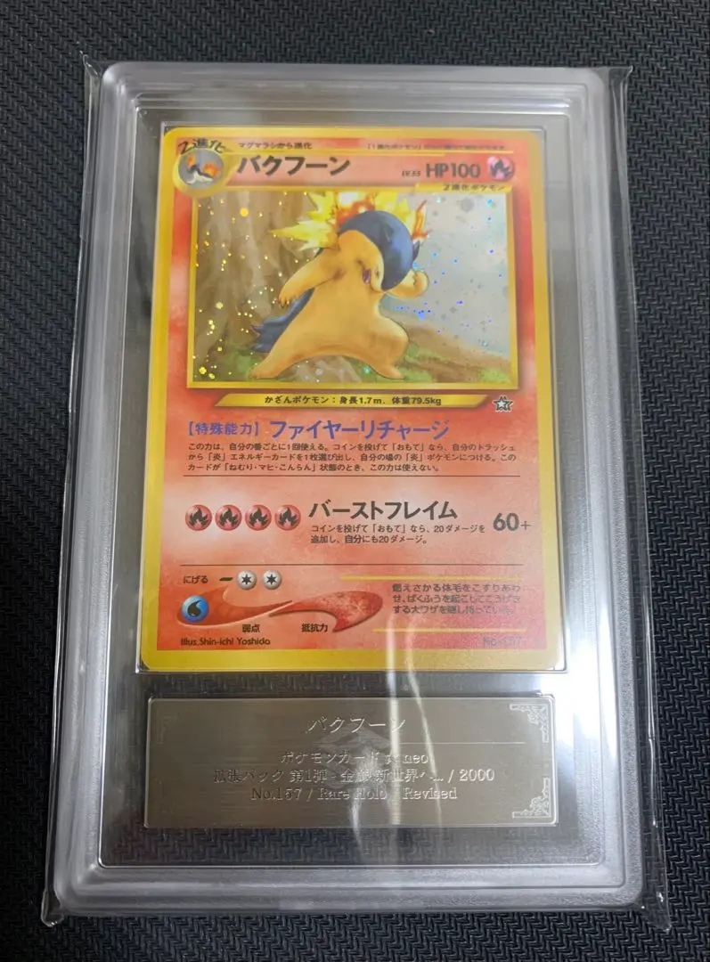 2026年最新】バクフーン エラーの人気アイテム - メルカリ