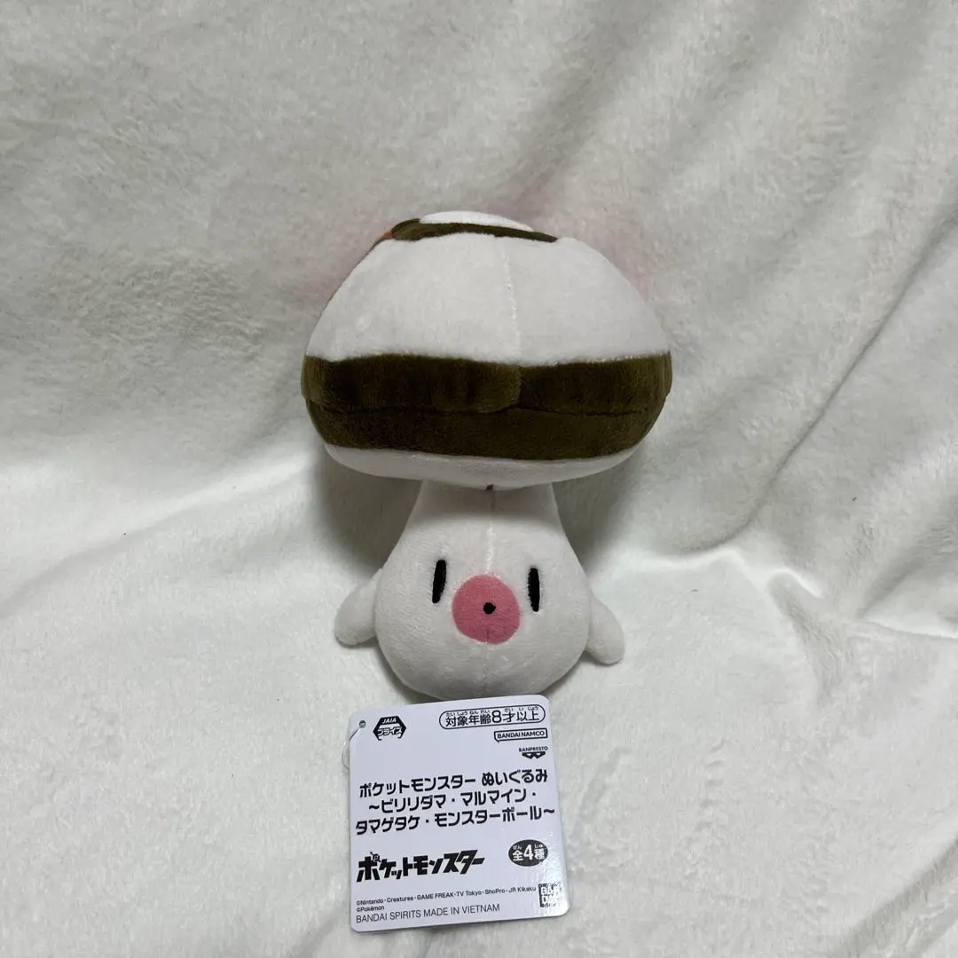 2026年最新】タマゲタケ ぬいぐるみの人気アイテム - メルカリ