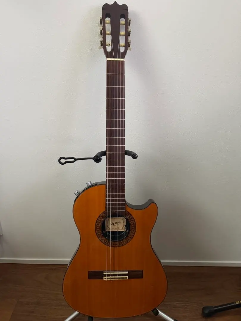 2026年最新】vester maniac エレキギターの人気アイテム - メルカリ