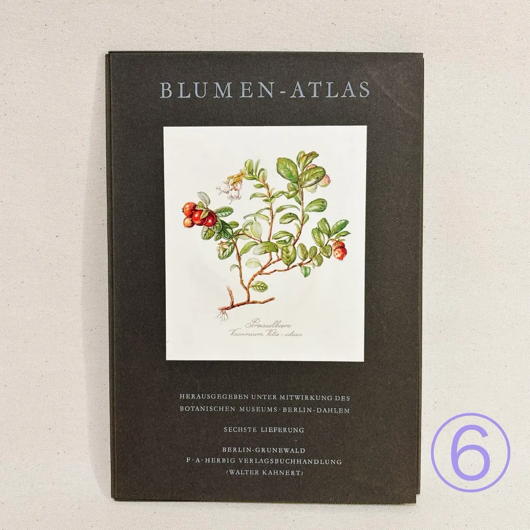 2026年最新】elsa felskoの人気アイテム - メルカリ