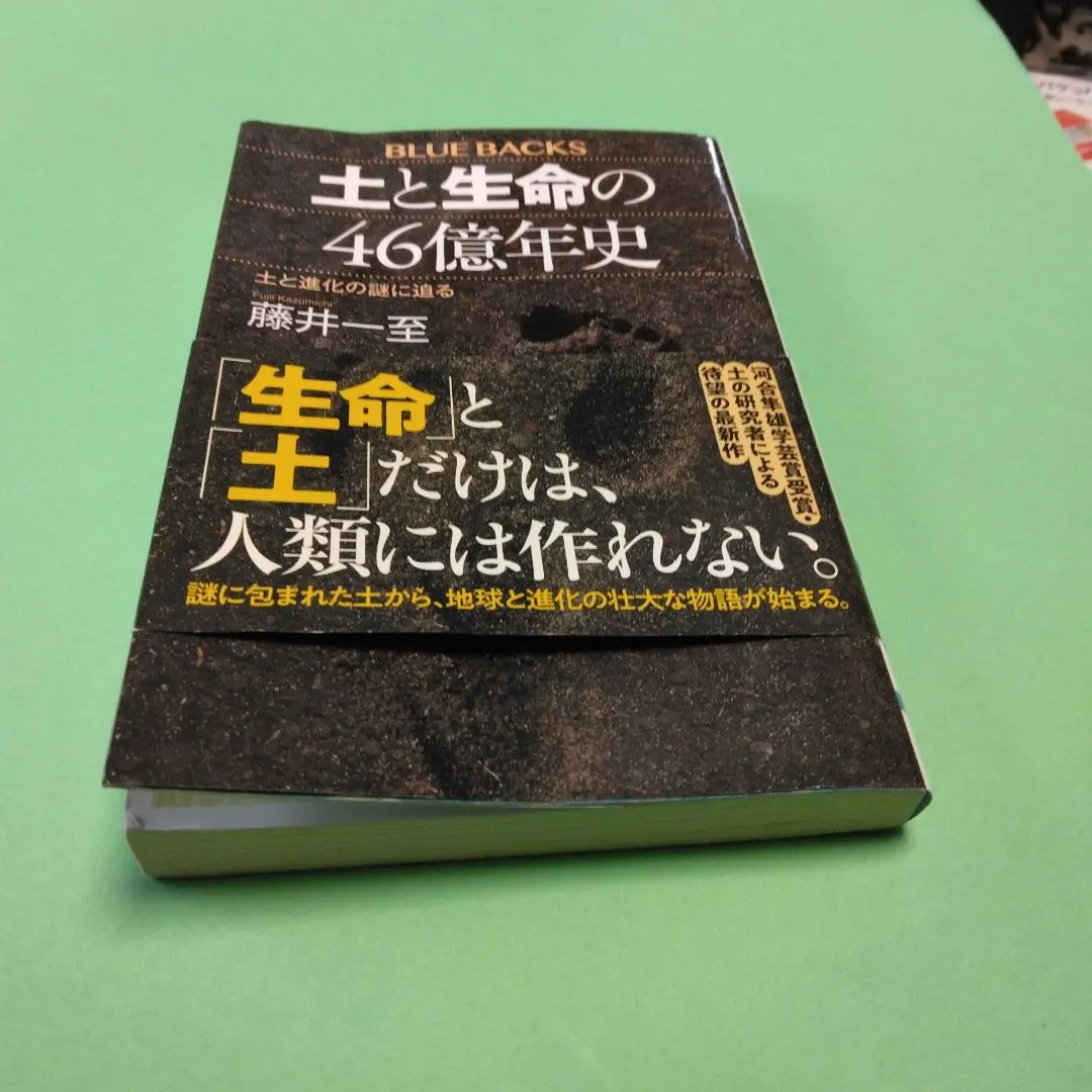 2026年最新】46億年の地球史の人気アイテム - メルカリ