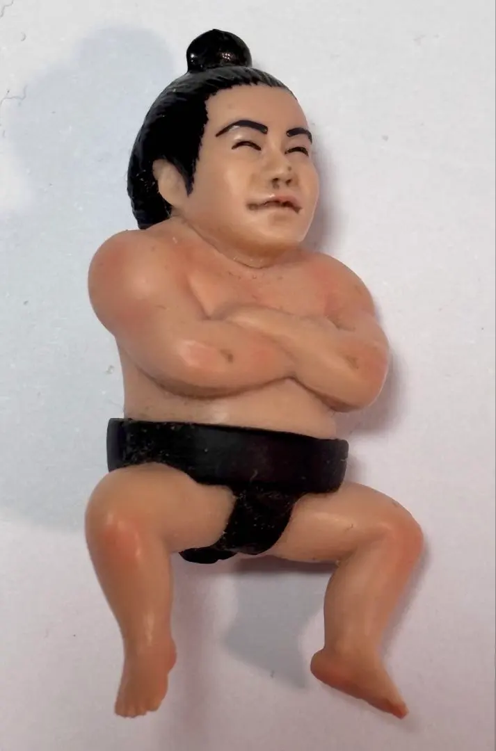 2026年最新】千代の富士 フィギュアの人気アイテム - メルカリ