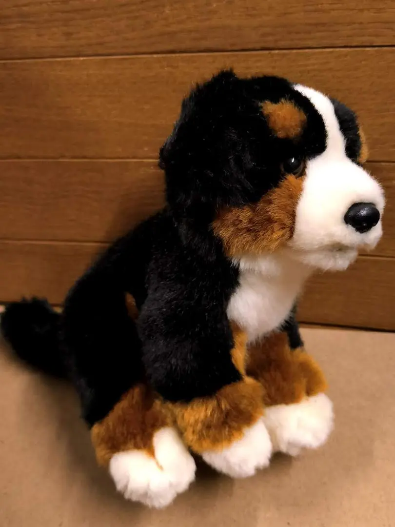 2026年最新】ぬいぐるみ 犬 バーニーズの人気アイテム - メルカリ