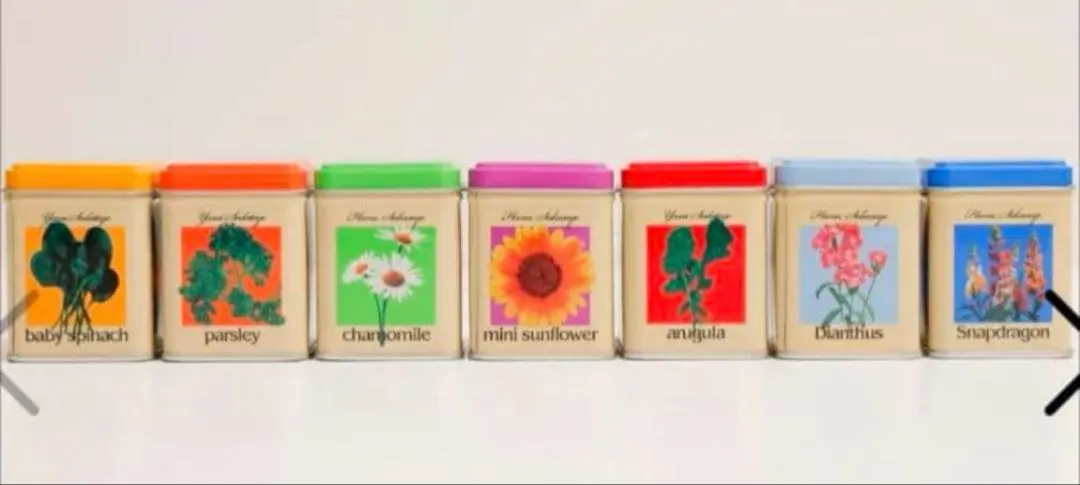 2026年最新】藤井風グッズ野菜缶の人気アイテム - メルカリ