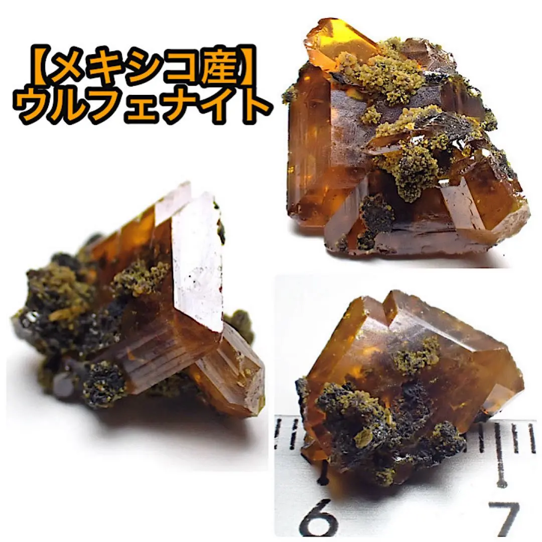 2026年最新】ウルフェナイトの人気アイテム - メルカリ