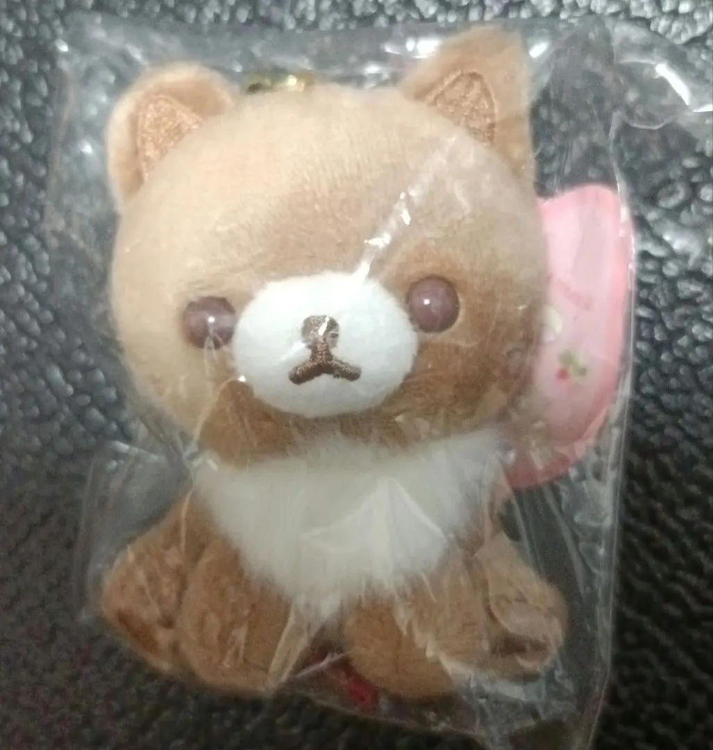 2026年最新】リラックマストア ココアキャットの人気アイテム - メルカリ