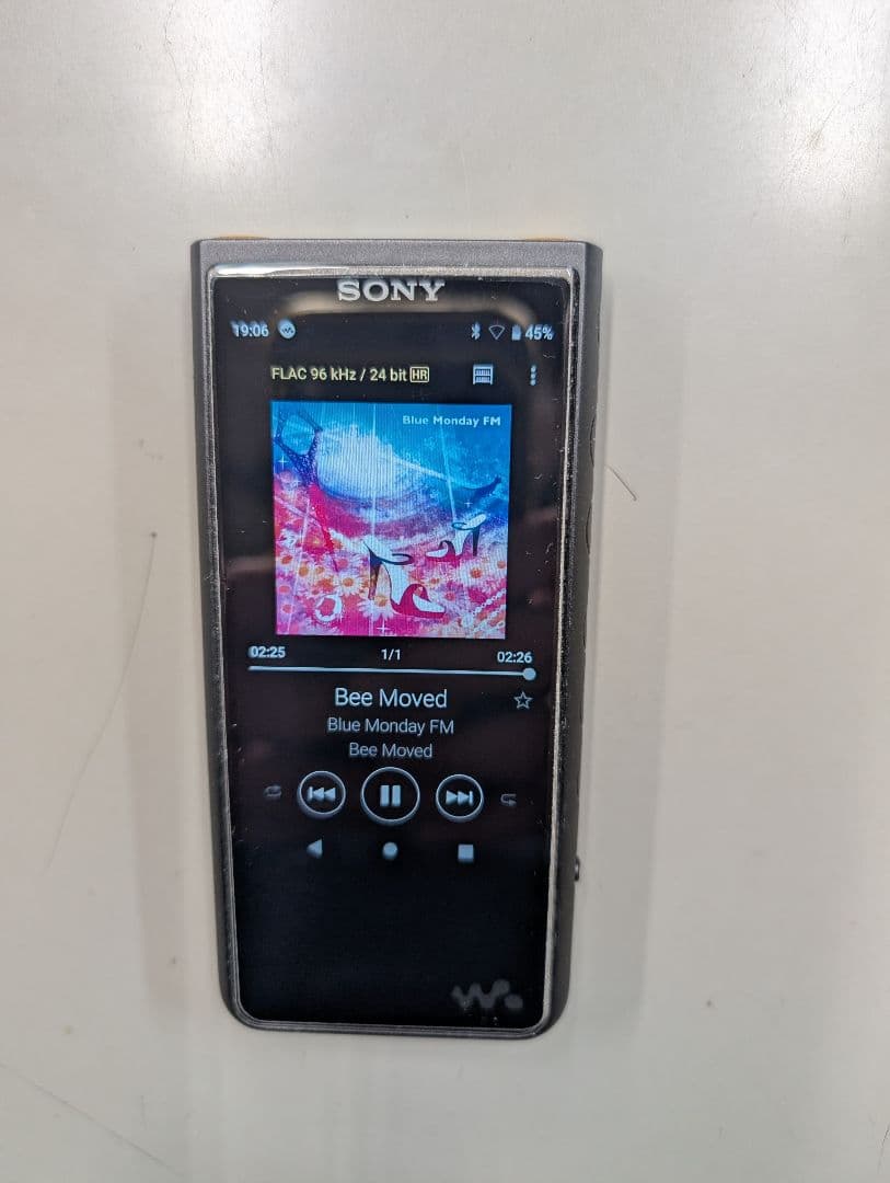 SONY ウォークマン 高音質デジタルオーディオプレーヤーNW-ZX500 NW-ZX500シリーズ | ポータブルオーディオプレーヤー WALKMAN