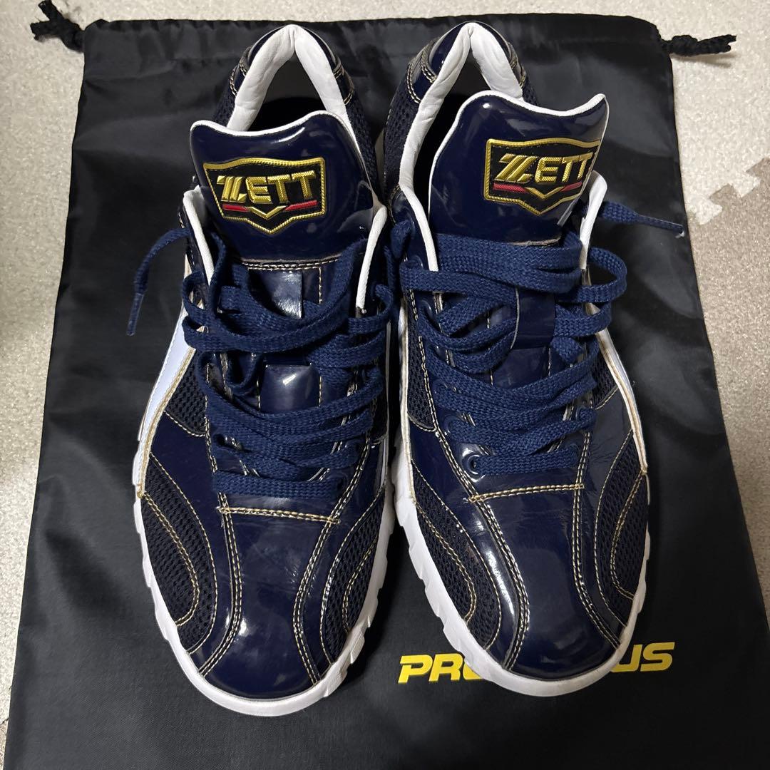 プロステイタスフルオーダートレーニングシューズ 27.0cm