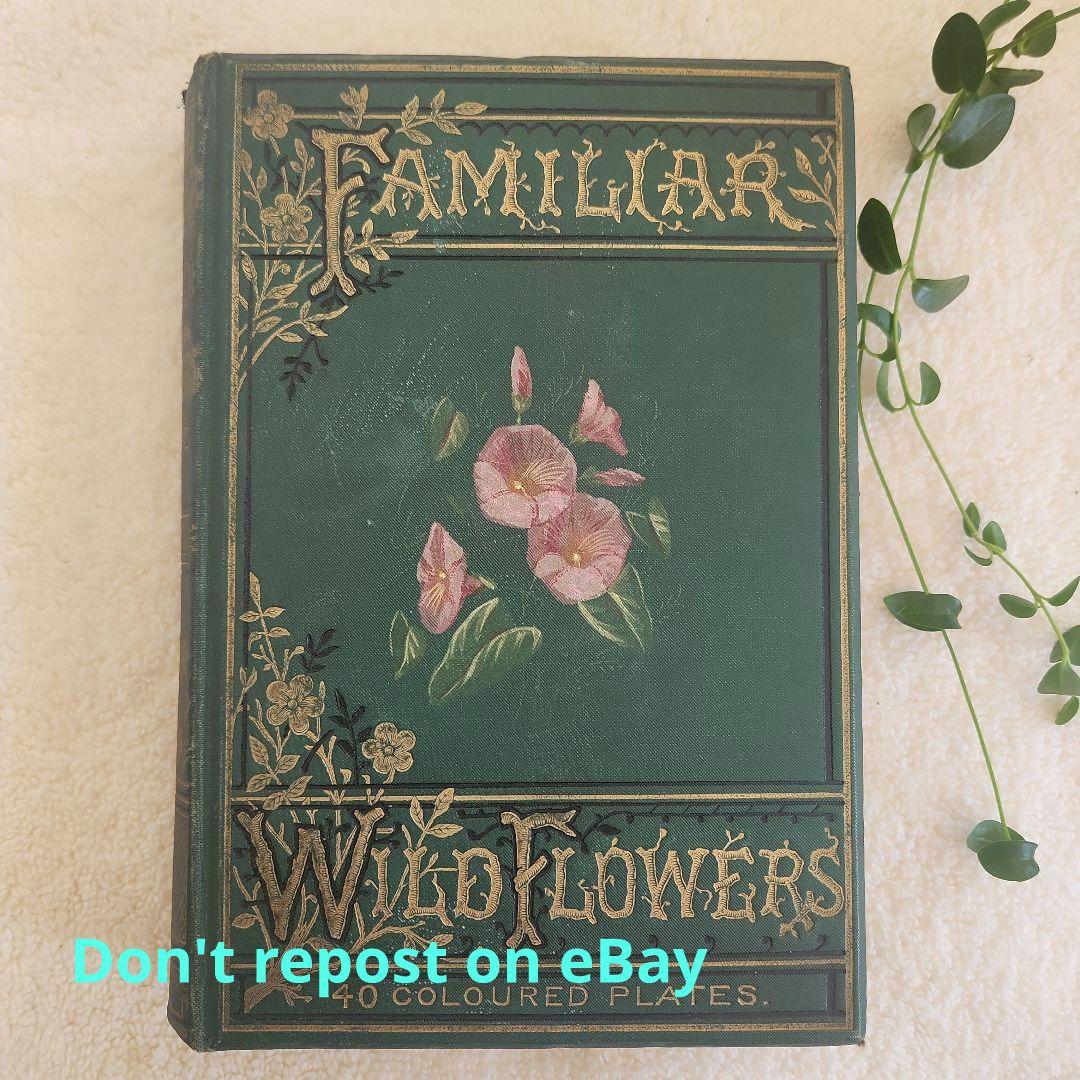 植物図鑑　洋書　ボタニカルアート　アンティーク　リトグラフ　27 ボタニカルアート 植物図鑑 リトグラフ アンティーク 原画 絵画 アート