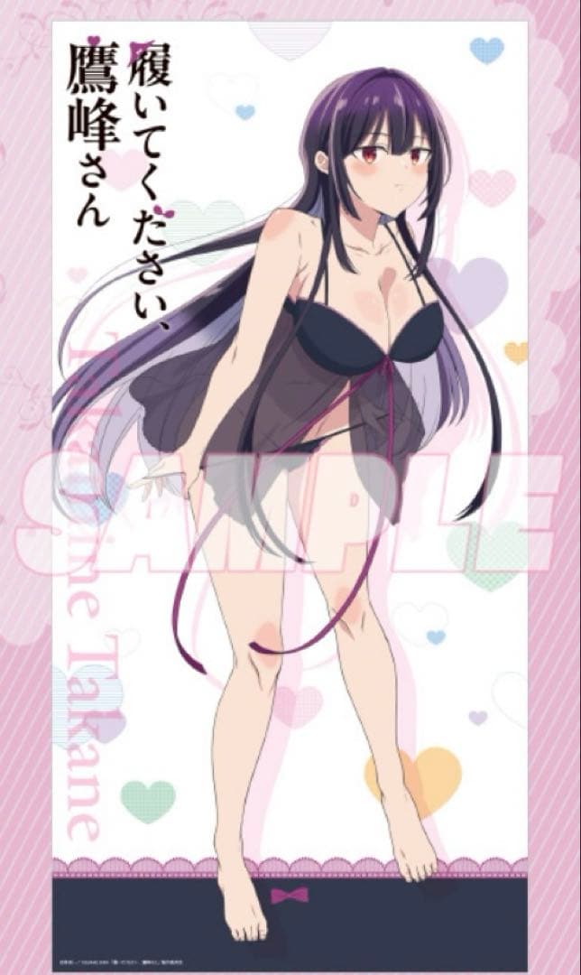 セガラッキーくじ 履いてください、鷹峰さん A賞 特大布ポスター A