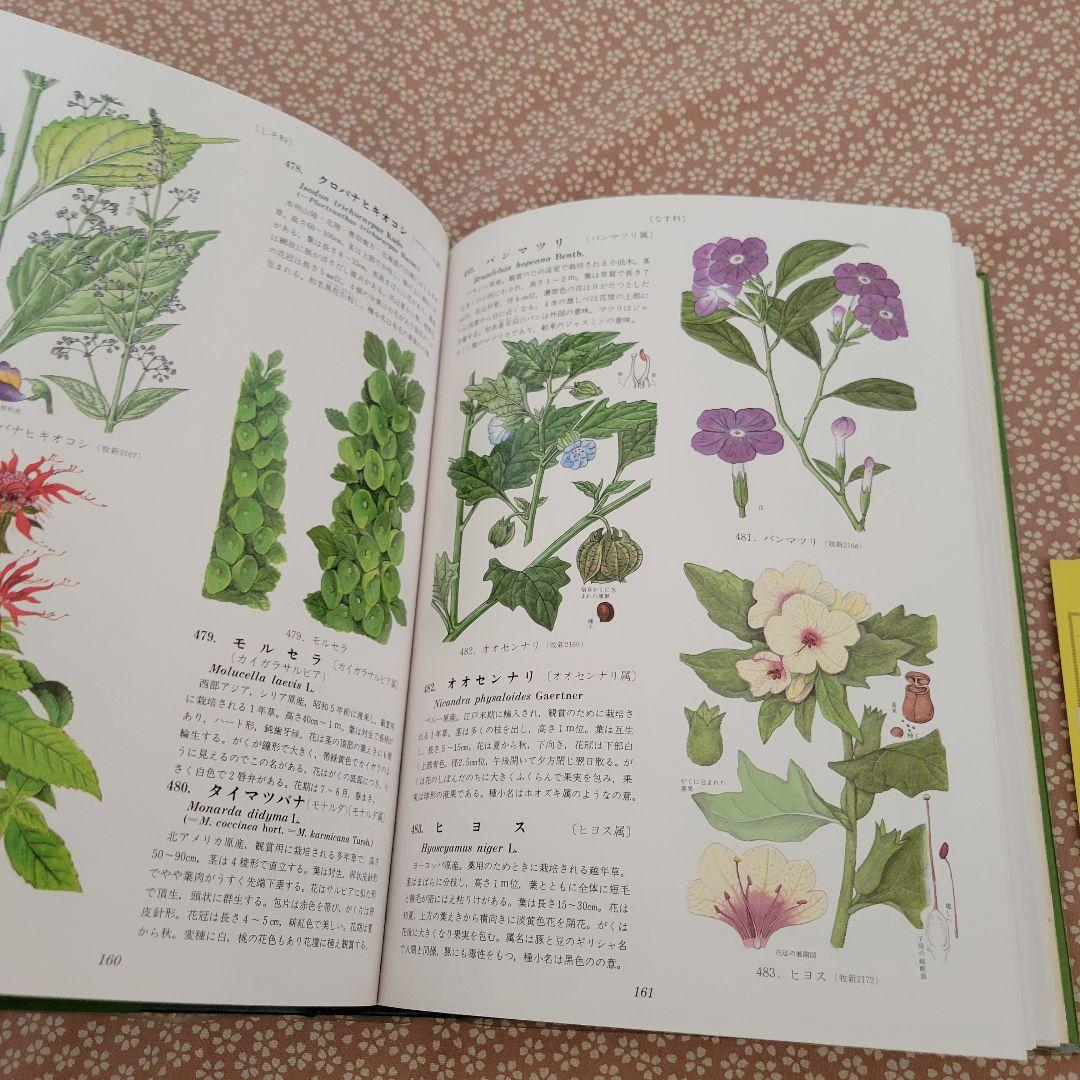 原色牧野植物大図鑑 牧野富太郎 - メルカリ
