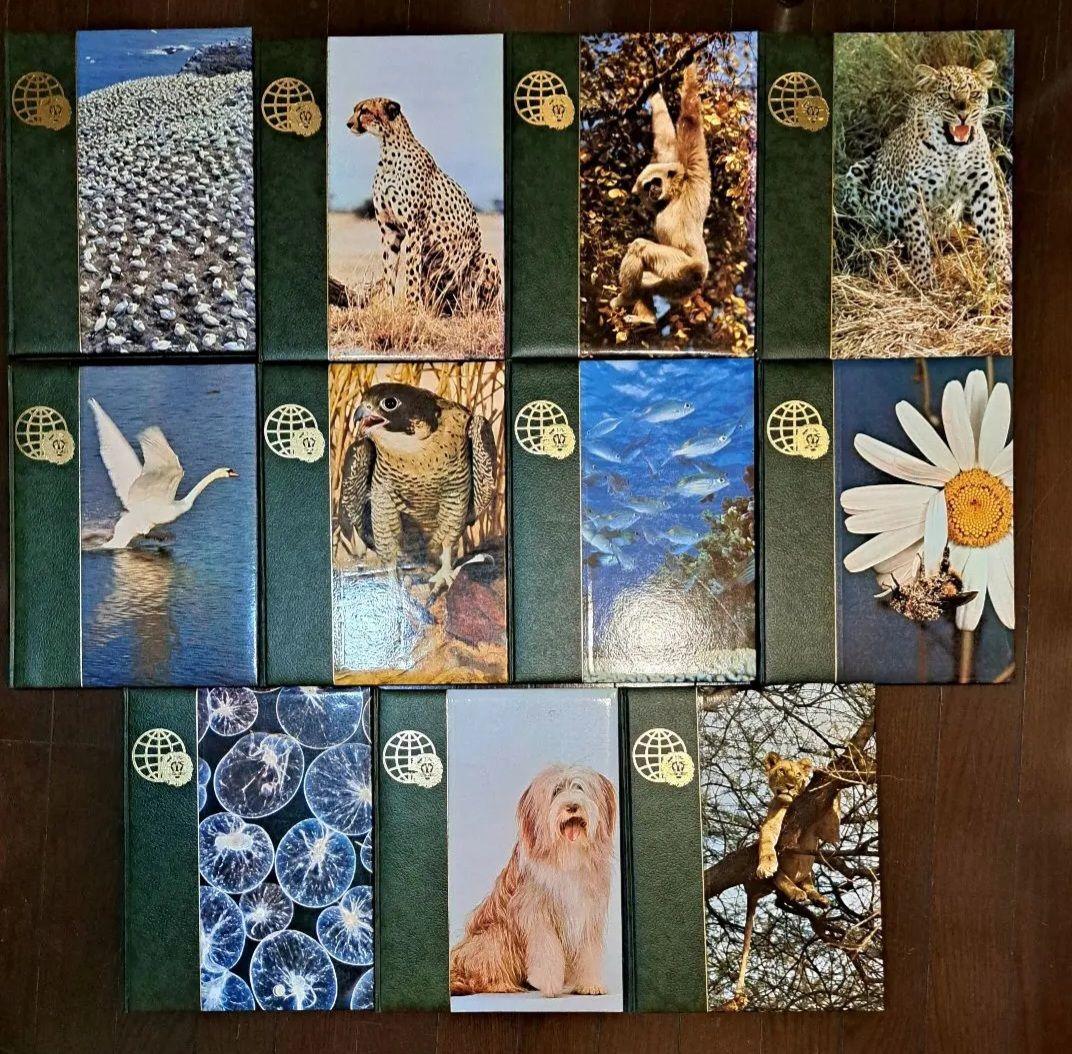 アニマルライフ「動物の大世界百科」11～20巻+索引 全巻の内後半