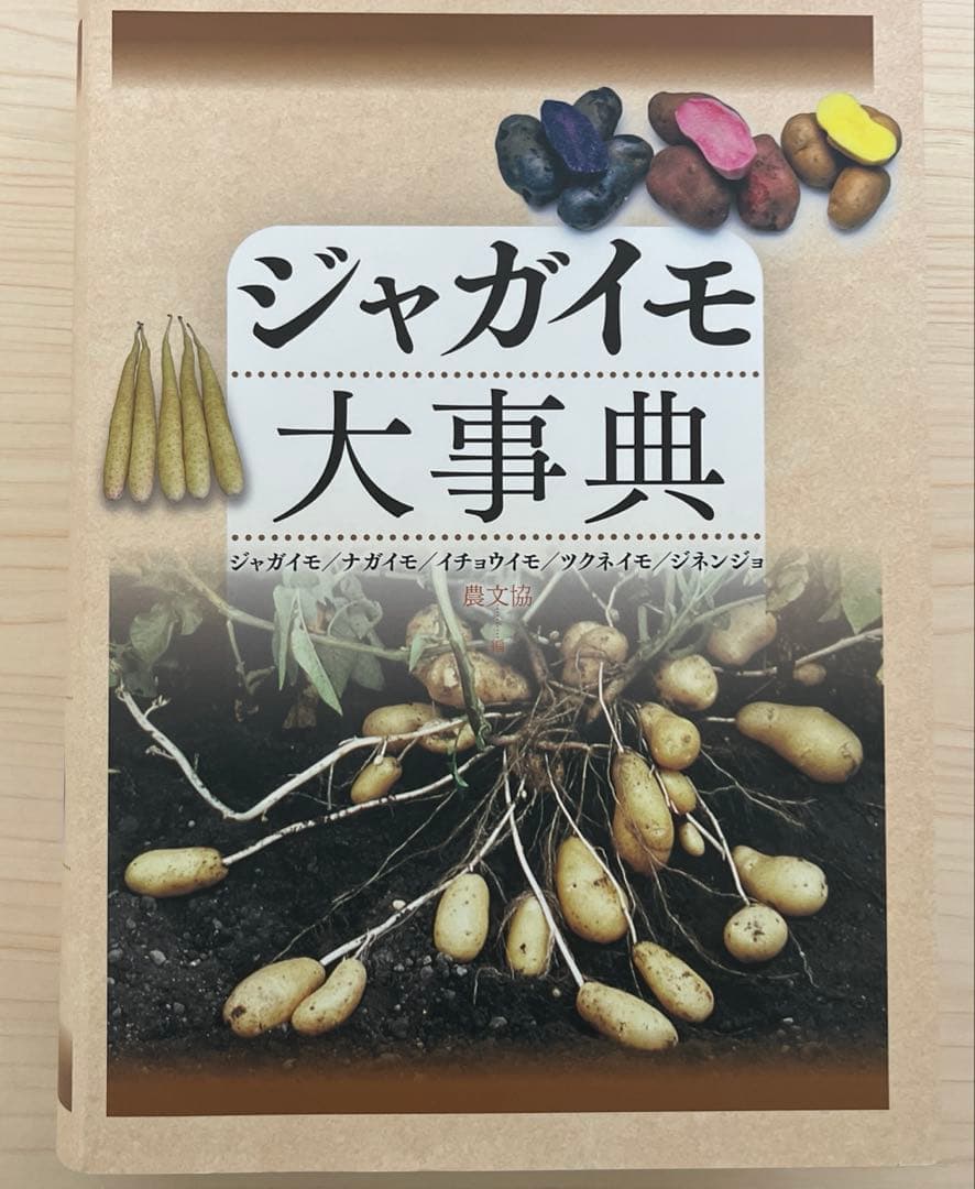 B*n様 高崎勉一眼レフカメラ上達講座DVD(人物編、物・花編、風景編3点
