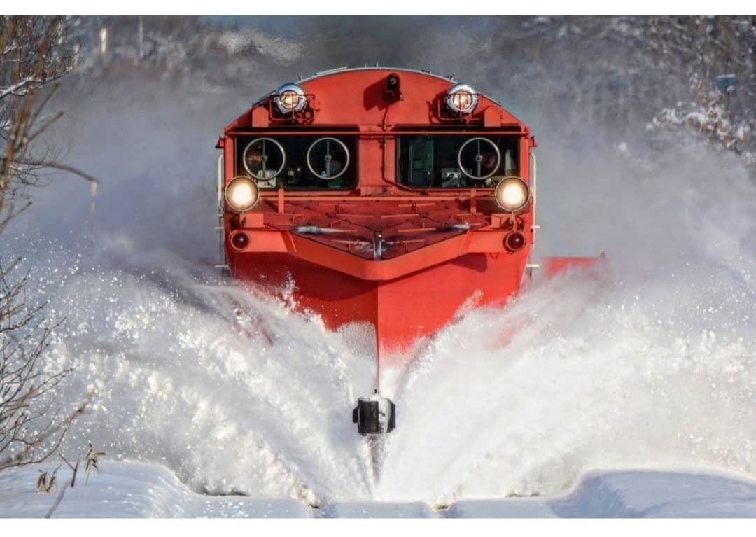 レンズ(ズーム) SIGMA APO 50-500 F4.5-6.3 DG OS HSM F