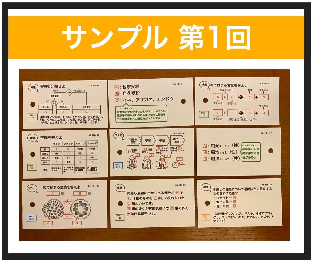 中学受験【6年上 理科 全セット1-17回】暗記カード 予習シリーズ 組