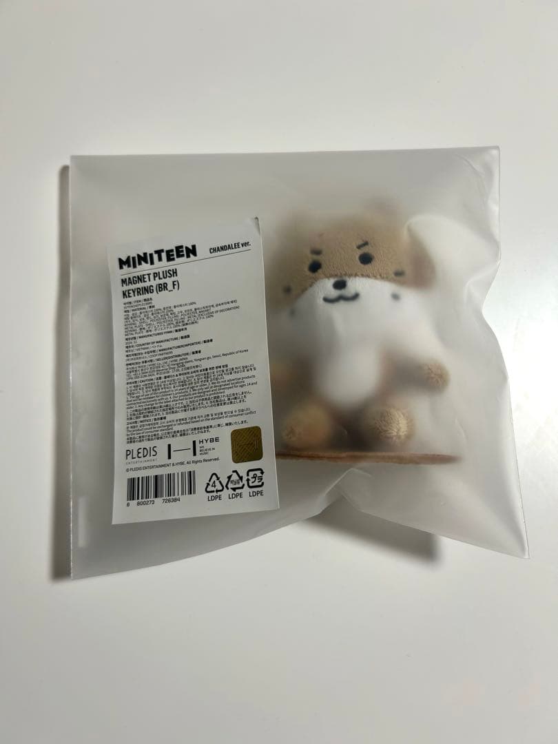 SEVENTEEN ミニティーン マグネットキーリング ディノ チャンダリ