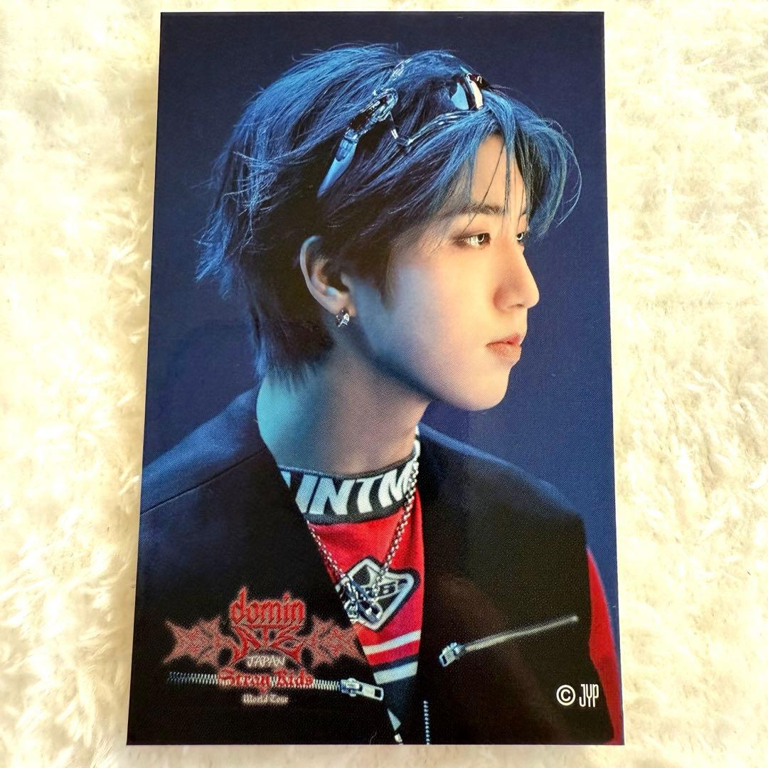 ハン dominATE エコパ 会場限定くじ ステッカー スキズ - メルカリ