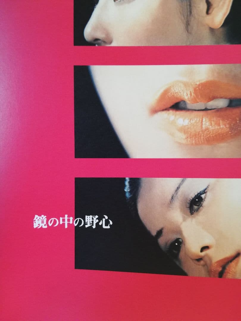 限定版/鏡の中の野心 DVD ひし美ゆり子　☆大判ポスターおまけ付き