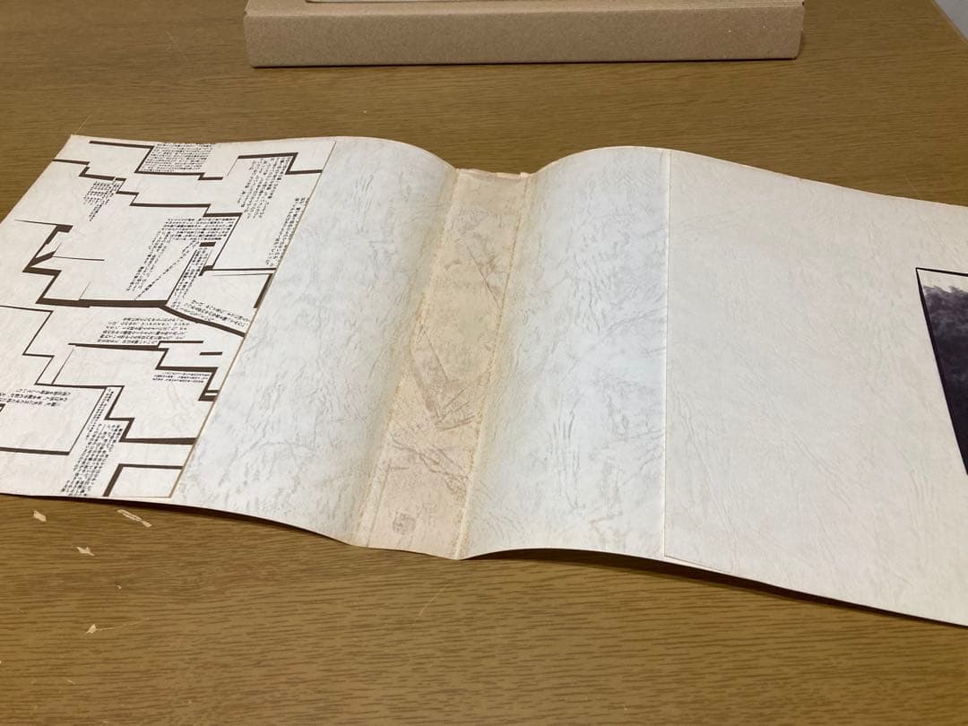 【中古】曼陀羅図鑑 原芳市 初版 写真集