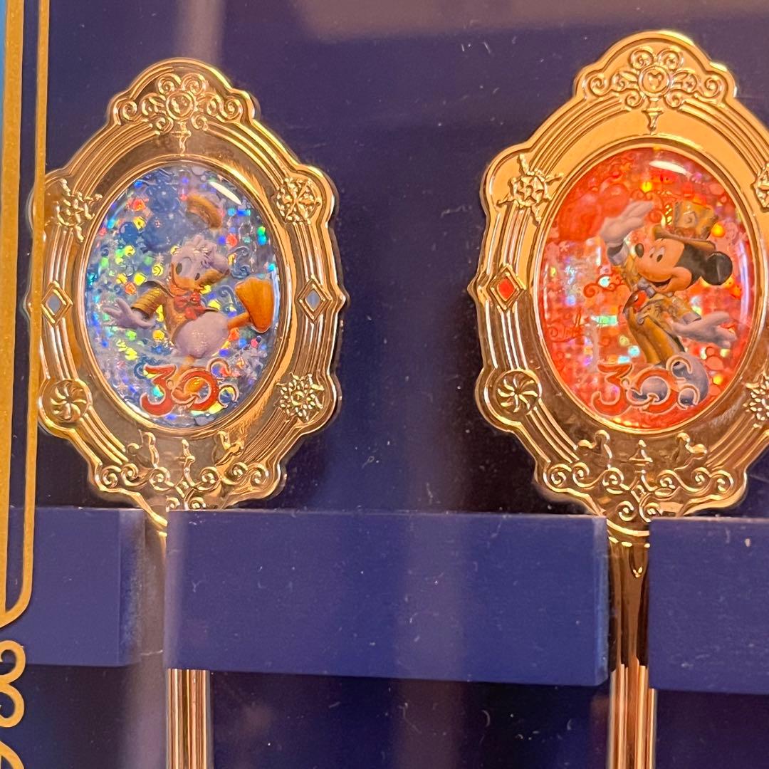 ディズニーランド30周年スーベニアスプーン】 ケース付き 東京 TDL TDR