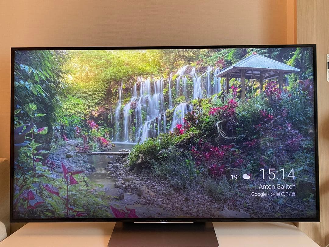 金欠学生様専用】BRAVIA KJ55X9300D ソニー55インチ4K - メルカリ