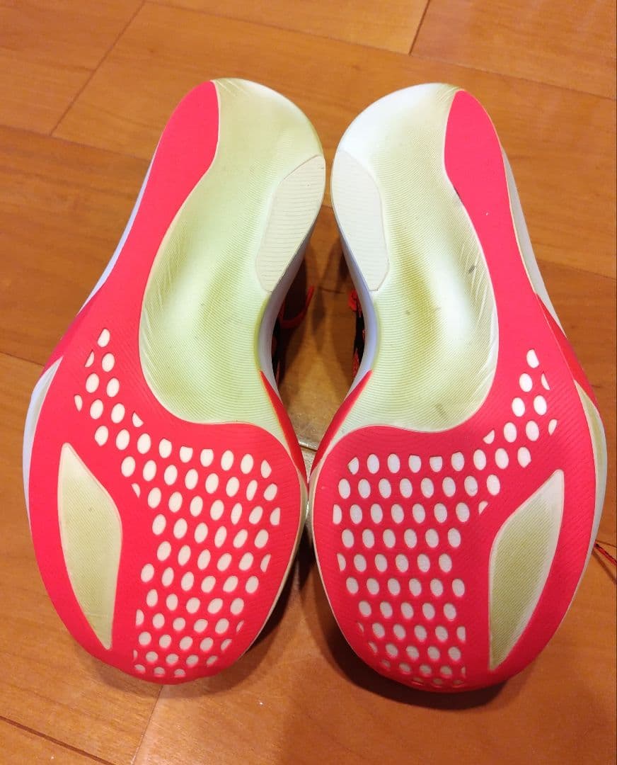 メタスピードスカイtokyo　25.5cm