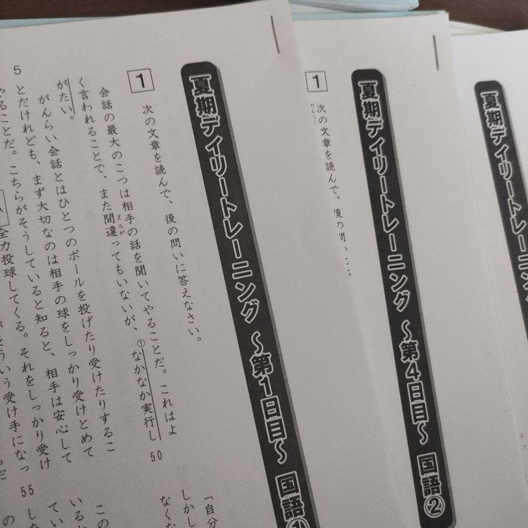 SAPIX 小学6年 国語 デイリー&春期&GS＆夏期セット 2023年度版 - メルカリ