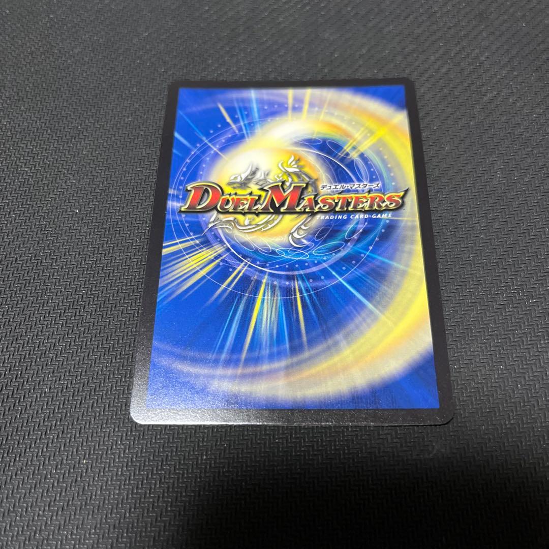 napo獅子-vi無粋 ナポレオンバイブス B シク シークレット - メルカリ