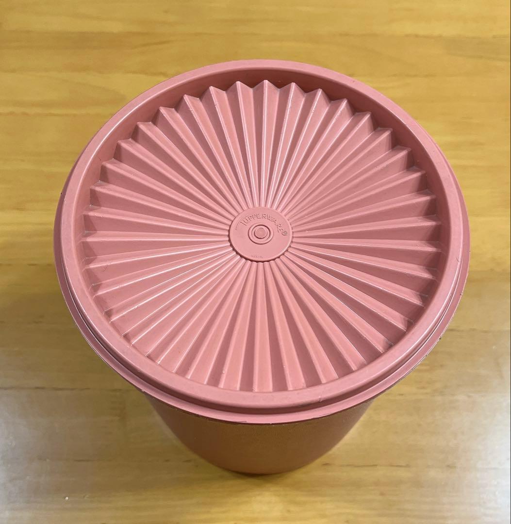 本日限定お値下げ タッパーウェア マキシデコレーター Lサイズ - メルカリ